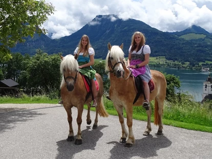 Pensionen - Art der Pension: Frühstückspension - Seewalchen am Attersee - Unsere Haflinger - Urlaub am Altroiterhof