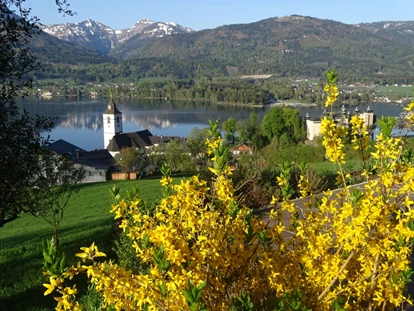 Pensionen - Art der Pension: Frühstückspension - Seewalchen am Attersee - Ausblick - Urlaub am Altroiterhof