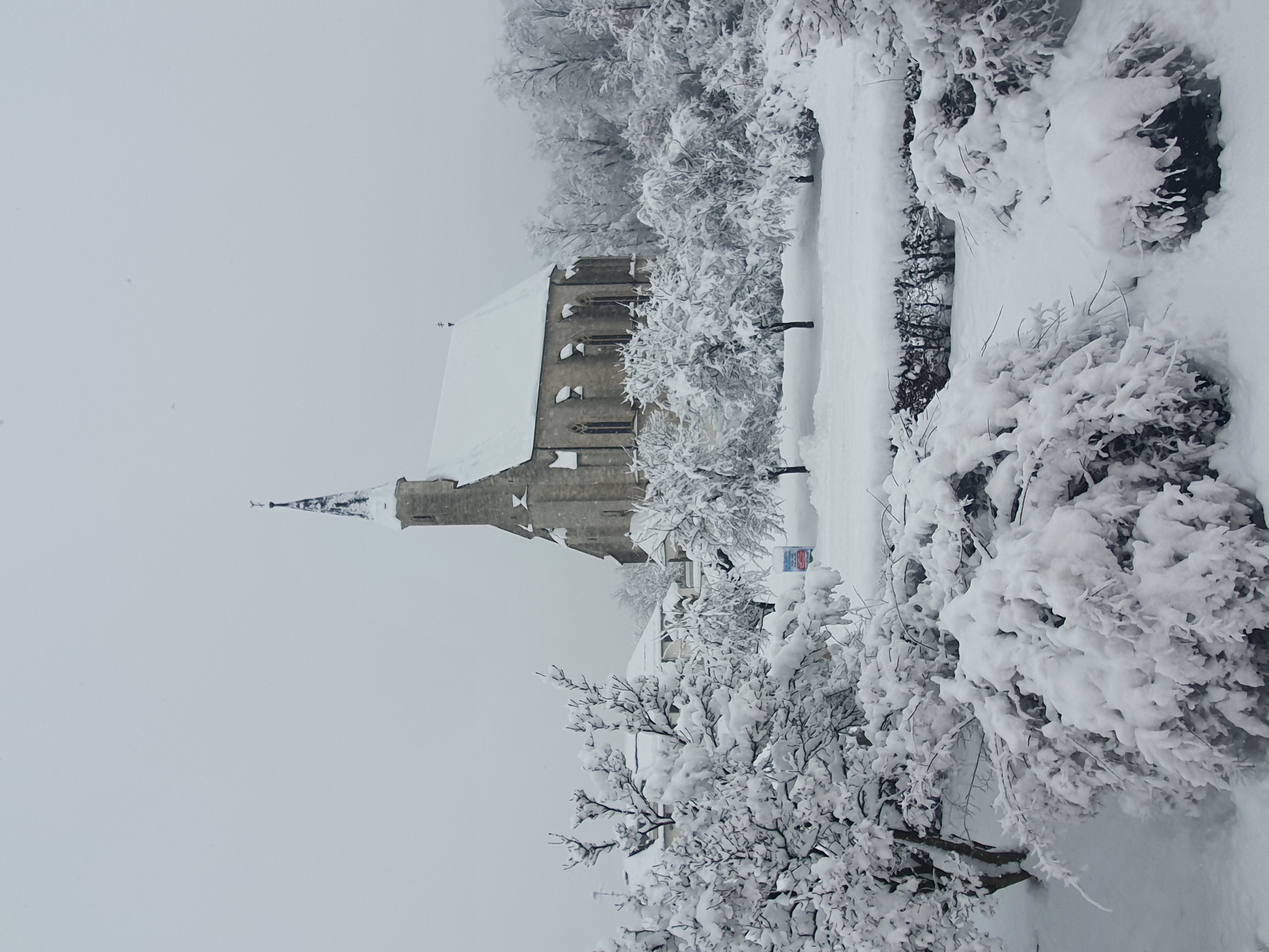 Frühstückspension: Pension Viereckl