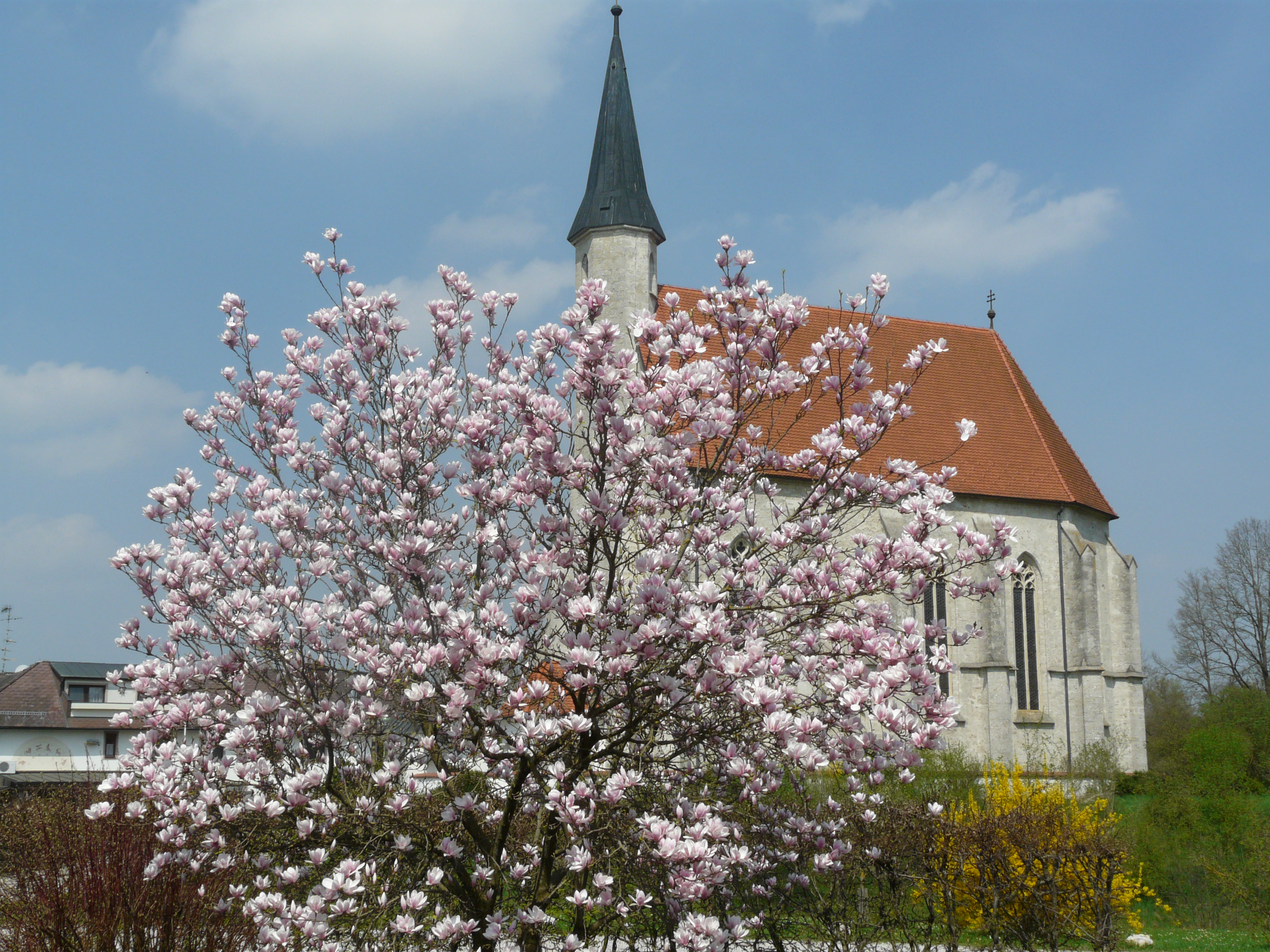 Frühstückspension: Pension Viereckl