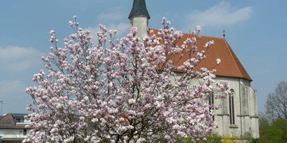 Pensionen - Steinbach an der Steyr - Pension Viereckl