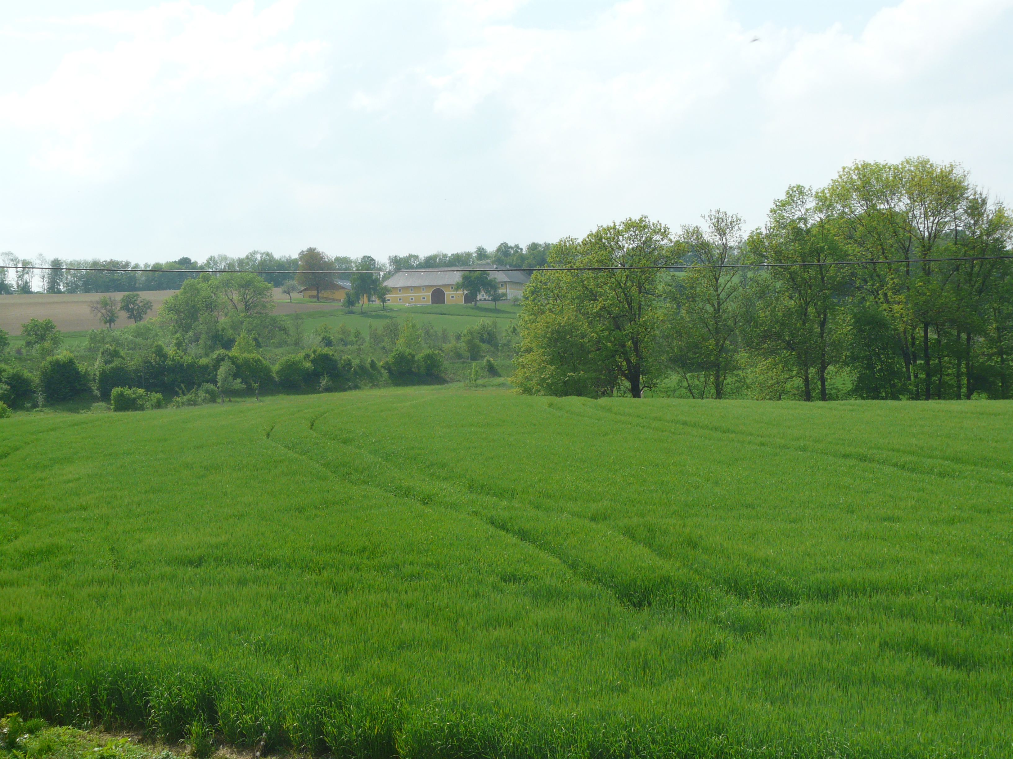 Frühstückspension: Pension Viereckl
