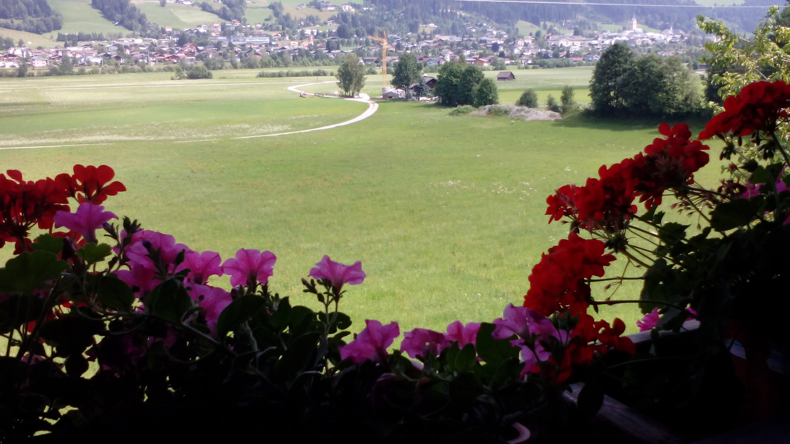 Frühstückspension: aussicht von der ferienwohnung - Oberfarnwang