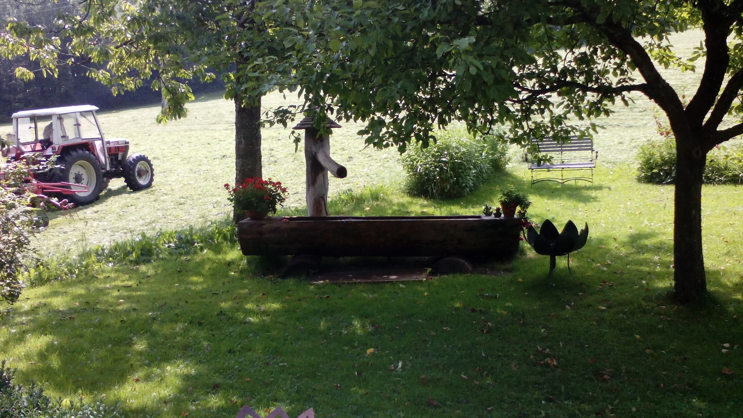 Frühstückspension: garten - Oberfarnwang