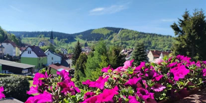 Pensionen - Eisenach (Eisenach, Stadt) - Pfefferstübchen