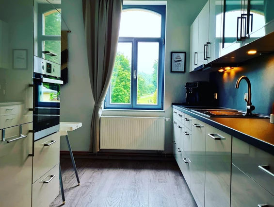 Frühstückspension: Ferienwohnung Küche - Pension "Schul Inn"