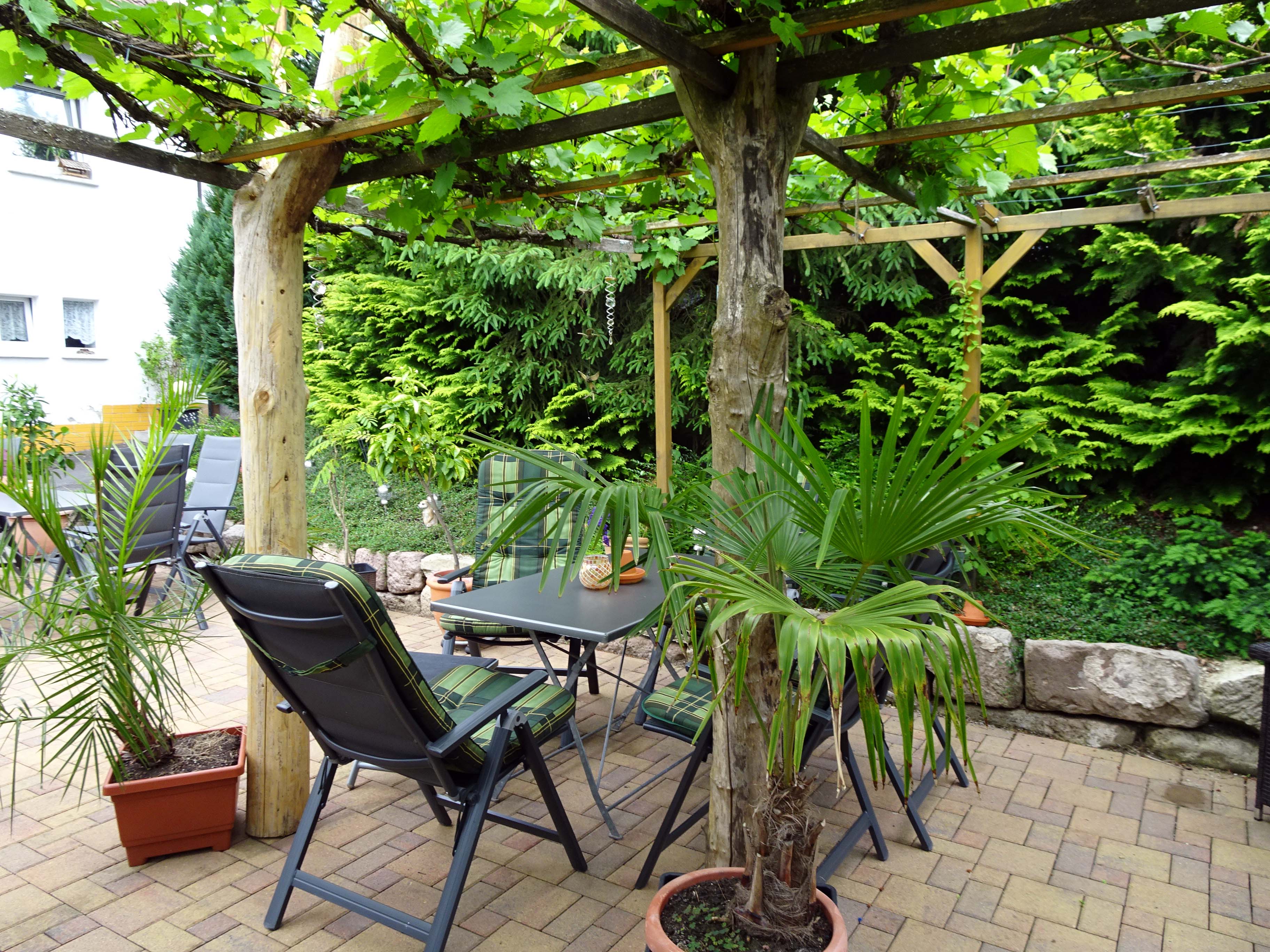 Frühstückspension: Terrasse - Pension Steinbergsblick