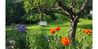 Pensionen - Eisenach (Eisenach, Stadt) - Unser naturnaher Garten im Frühsommer. - Pension Rau