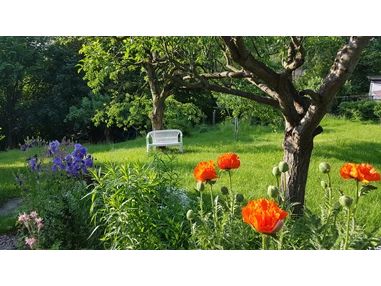 Frühstückspension: Unser naturnaher Garten im Frühsommer. - Pension Rau