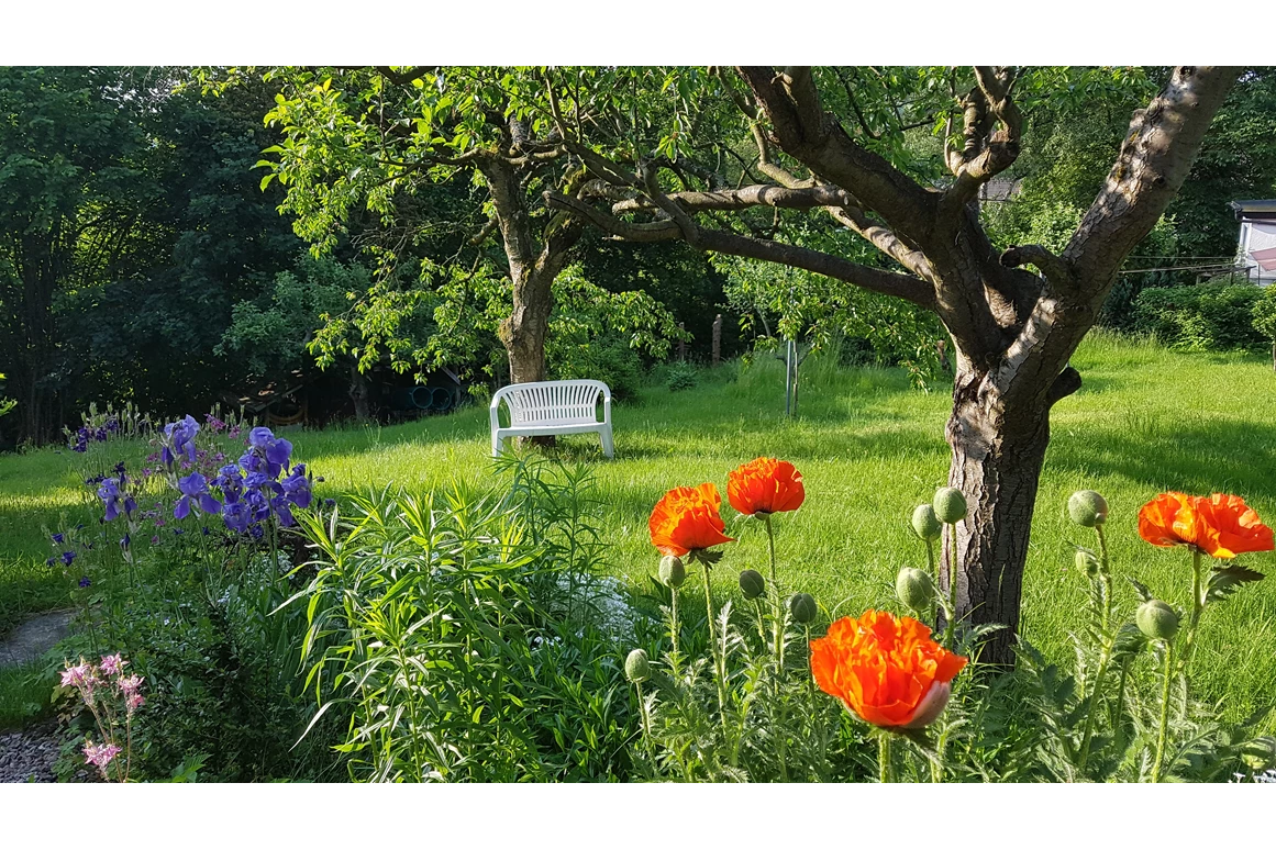 Frühstückspension: Unser naturnaher Garten im Frühsommer. - Pension Rau
