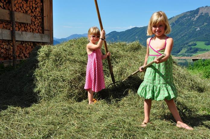 Pensionen - Admont (Admont) - Almresort Baumschlagerberg