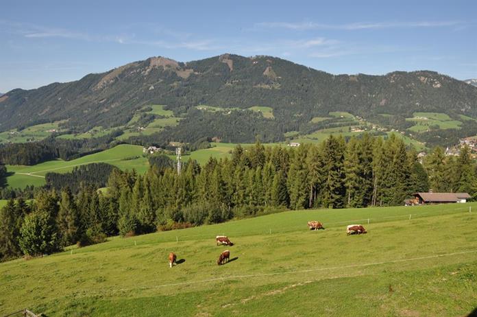 Frühstückspension: Almresort Baumschlagerberg