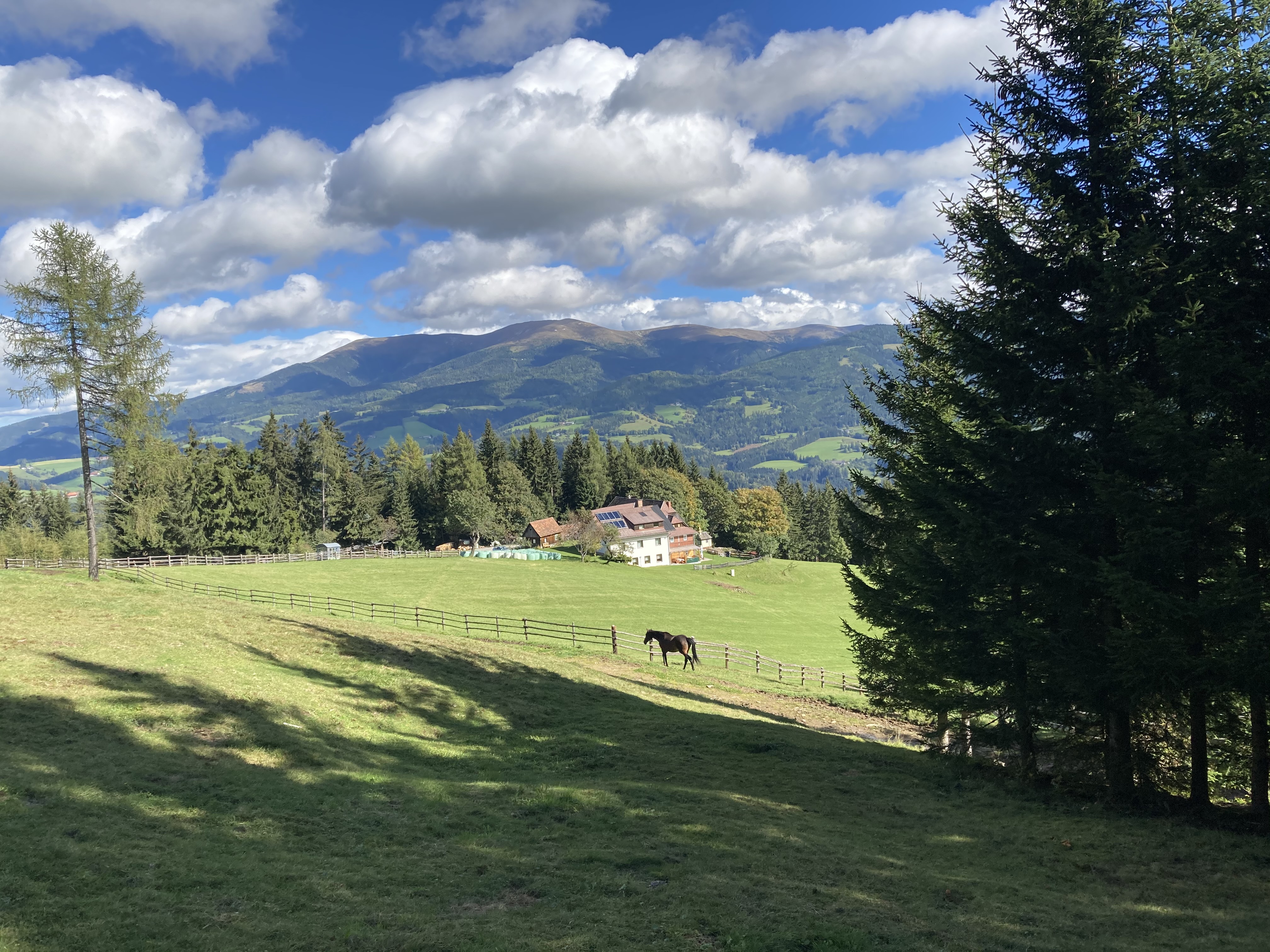 Pensionen - Klein St. Paul - Pension Pichlbauer