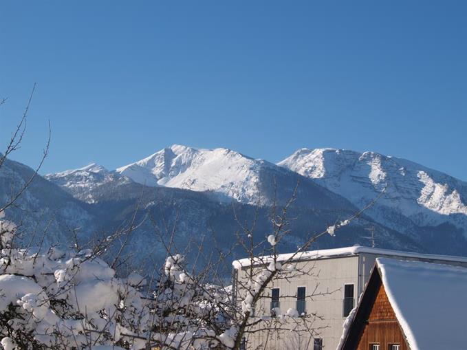 Frühstückspension: Gasthaus-Pension Schwarzer Graf