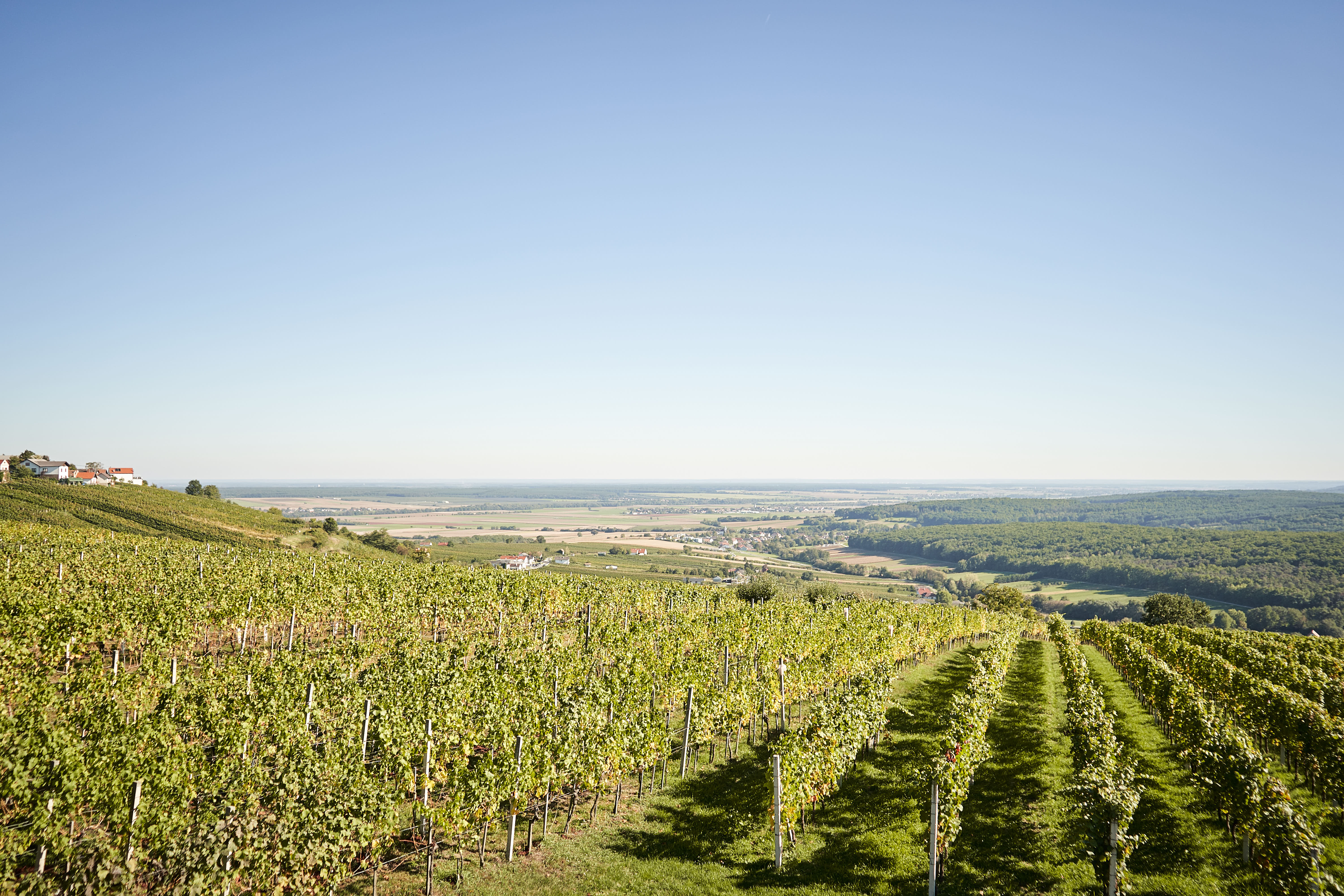 Pensionen - Bad Waltersdorf - Gästehaus Jalits