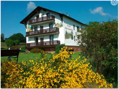 Pensionen - Restaurant - Pension Haus Sonnenschein, Pfrentsch 20, 92726 WAIDHAUS - Pension Haus Sonnenschein