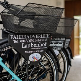 Frühstückspension: E-Bike Verleih vor Ort - Pension Laubenhof