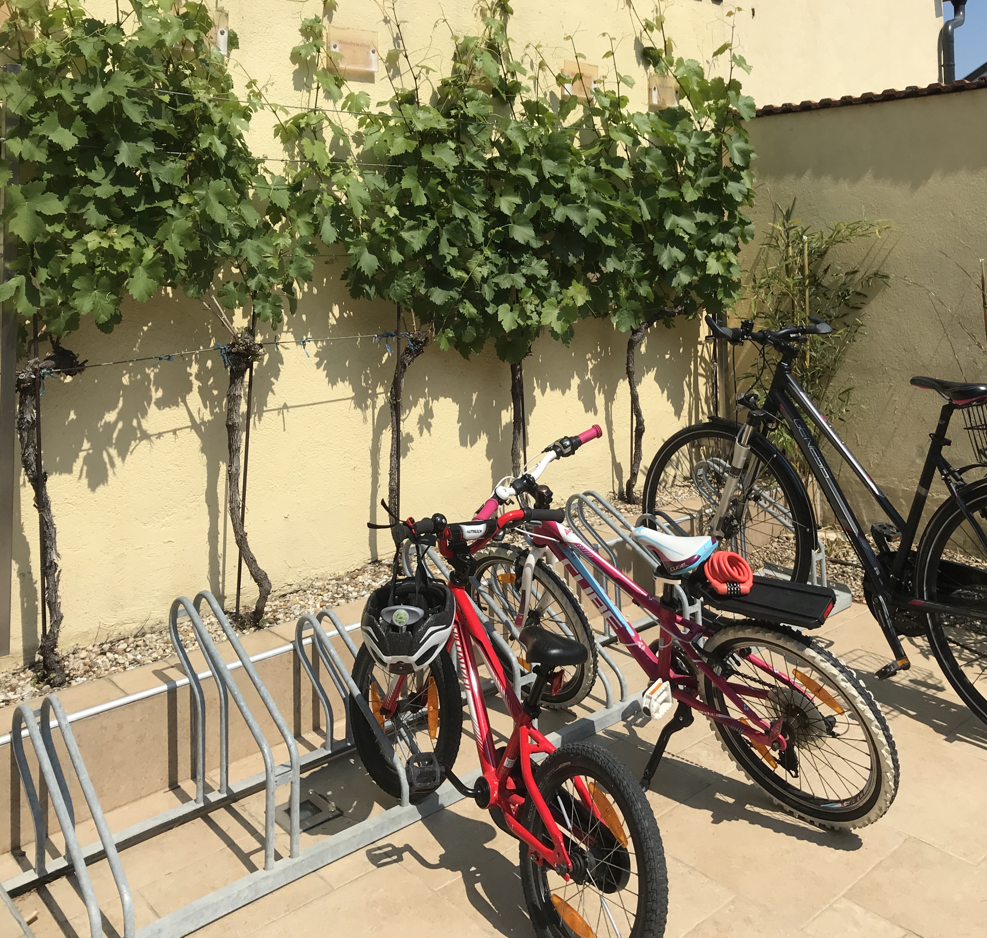 Frühstückspension: Fahrradabstellplatz - Gästehaus zur Traube