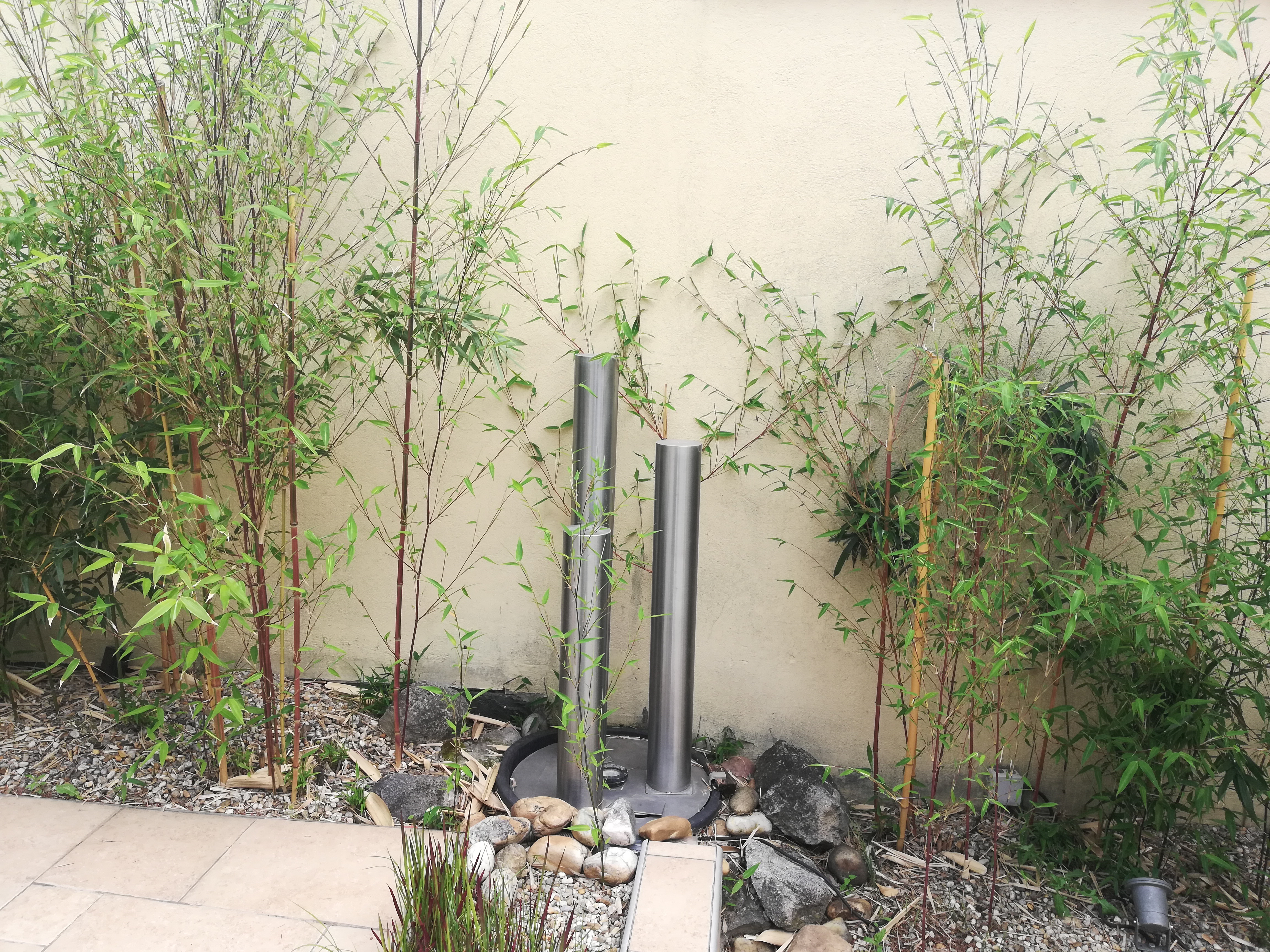 Frühstückspension: Gastgarten - Gästehaus zur Traube