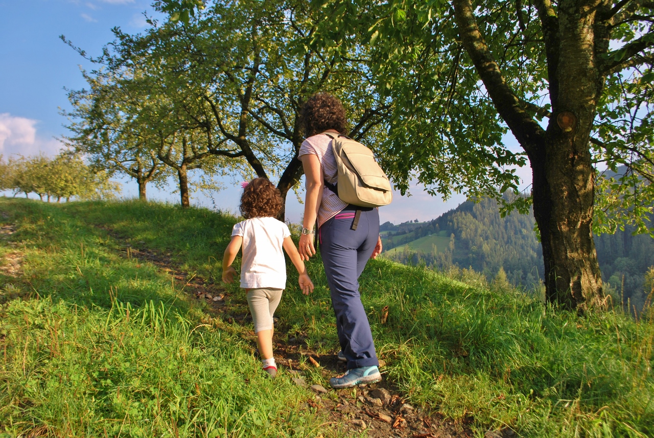 Frühstückspension: Gemütliche Wanderungen direkt vom Haus. Vielleicht nur hinters Haus um zu Picknicken, oder durch Wald und Wiesen zur Essigmanufaktur? Ganz wie Sie möchten...   - Ferienwohnungen Perhofer