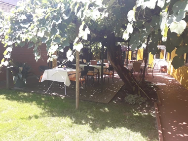 Frühstückspension: Gasthof Zum Alten Weinstock