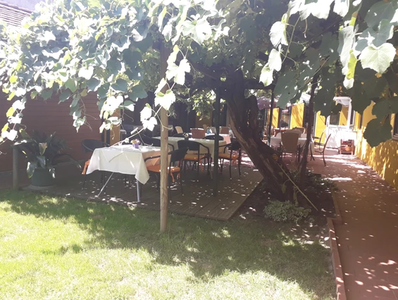 Frühstückspension: Gasthof Zum Alten Weinstock