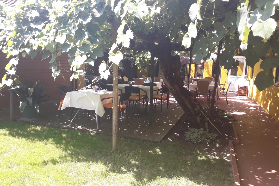 Frühstückspension: Gasthof Zum Alten Weinstock