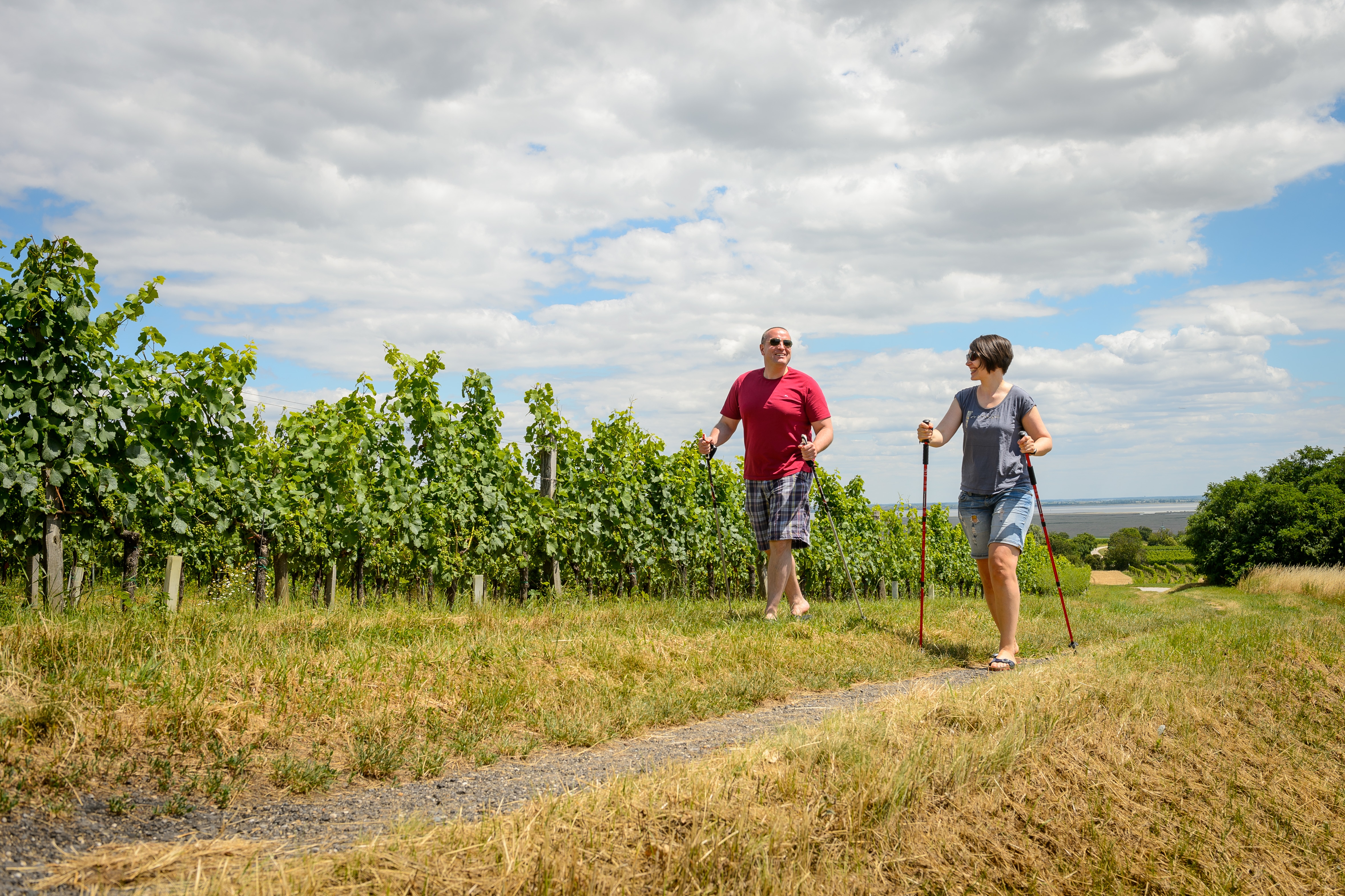 Frühstückspension: Nordic Walking - Pension Kral bike & wine