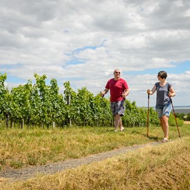 Frühstückspension: Nordic Walking - Pension Kral bike & wine