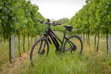 Frühstückspension: Radweg - Pension Kral bike & wine