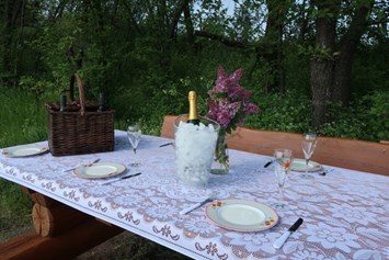 Frühstückspension: Party Place für Picknick in unseren Weingärten - Pension Kral bike & wine