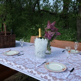 Frühstückspension: Party Place für Picknick in unseren Weingärten - Pension Kral bike & wine