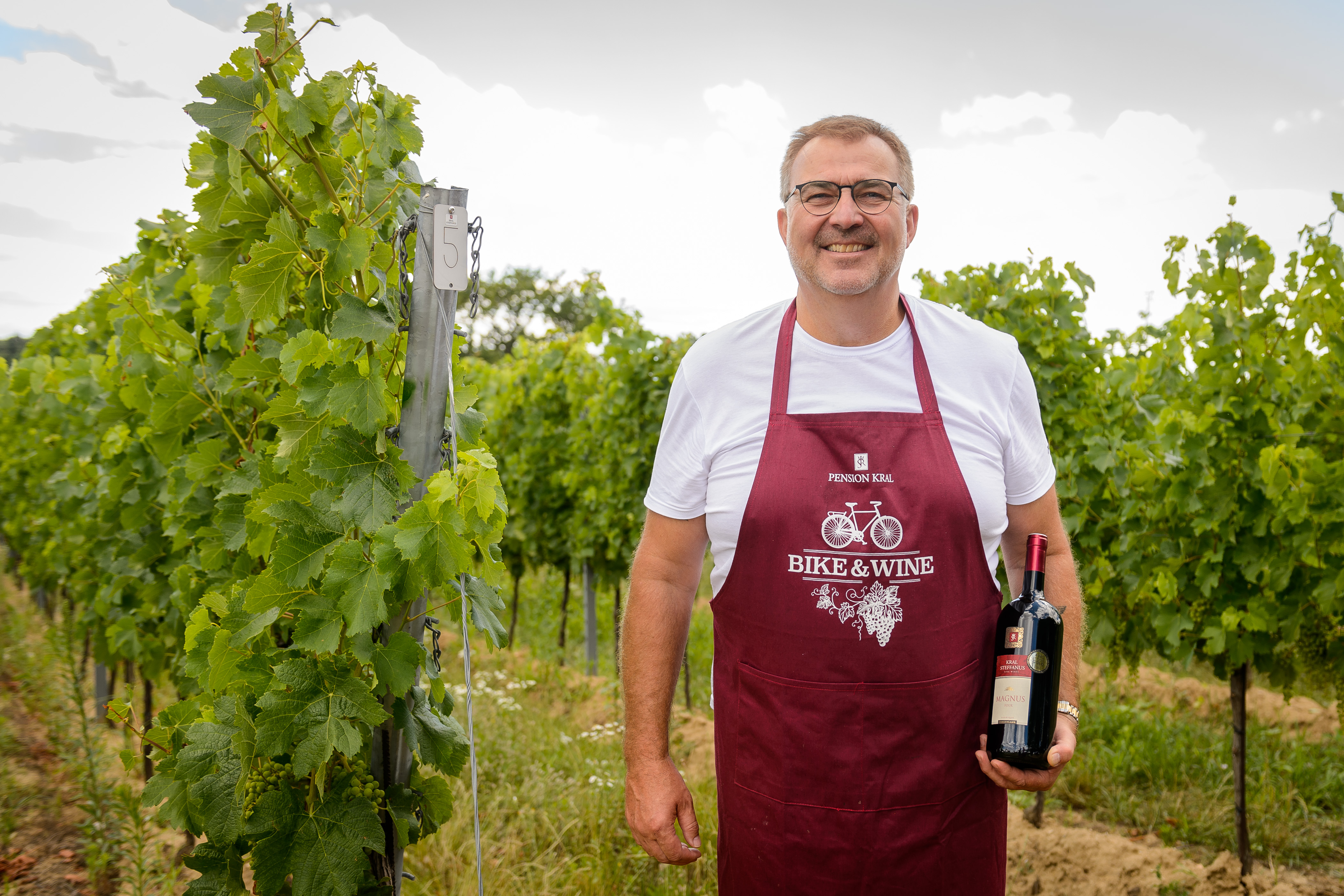 Frühstückspension: Gastgeber, Winzer Pavol Kral - Pension Kral bike & wine