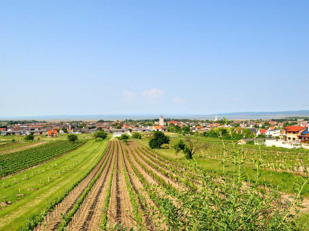 Frühstückspension: Pension & Weingut Gangl - Ortsansicht - Pension & Weingut Gangl
