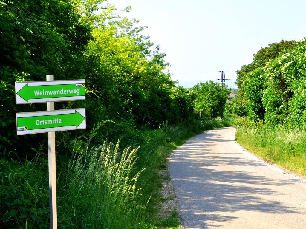 Frühstückspension: Pension & Weingut Gangl - Weinwanderweg - Pension & Weingut Gangl
