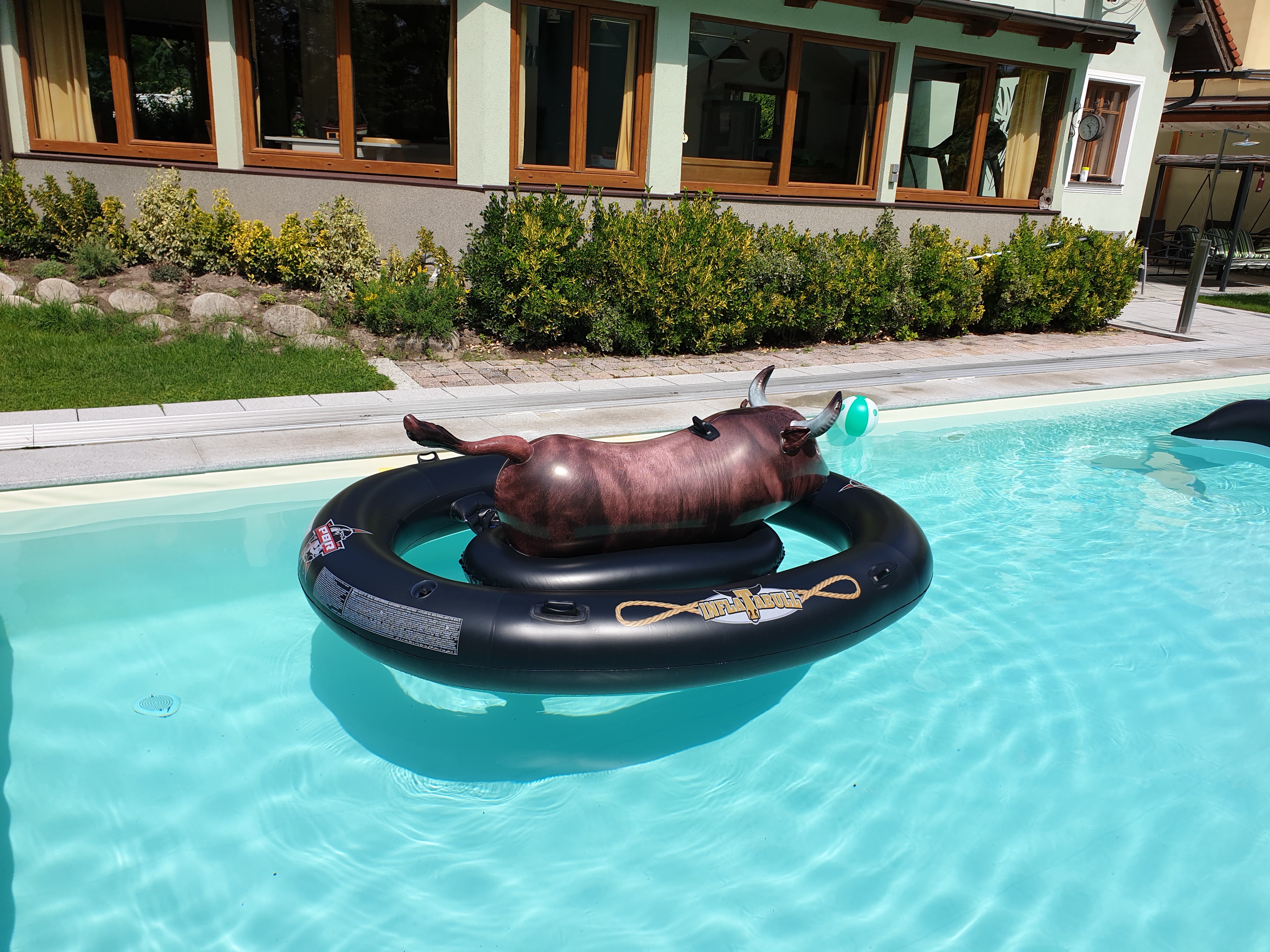 Frühstückspension: Gartenpension Prosl