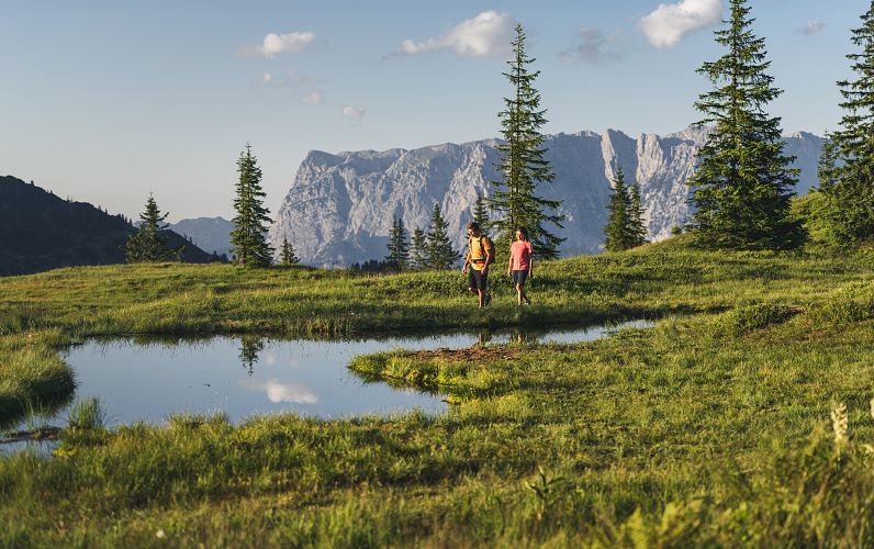 Frühstückspension: Appartementhaus UR-NATUR
