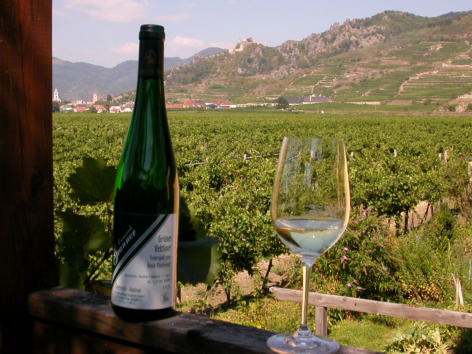 Pensionen - Waldhausen - Blick von der Terrasse Richtung Dürnstein - Weingut Granner