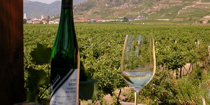 Pensionen - Region Wachau - Blick von der Terrasse Richtung Dürnstein - Weingut Granner