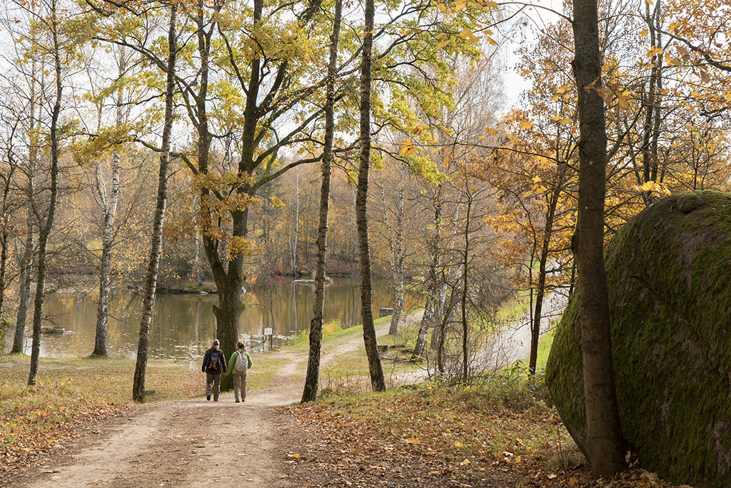 Frühstückspension: Blockheide - Hotel-Pension zum Meridianstein