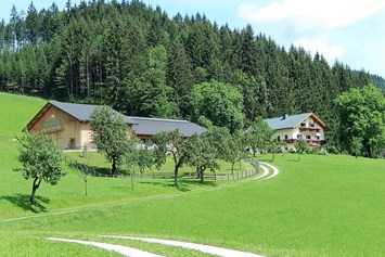 Frühstückspension: Unser kinderfreundlicher Biobauernhof befindet sich am Waldrand ca. 2 km außerhalb des Ortes Göstling an der Ybbs. - Biobauernhof Poidlbauer