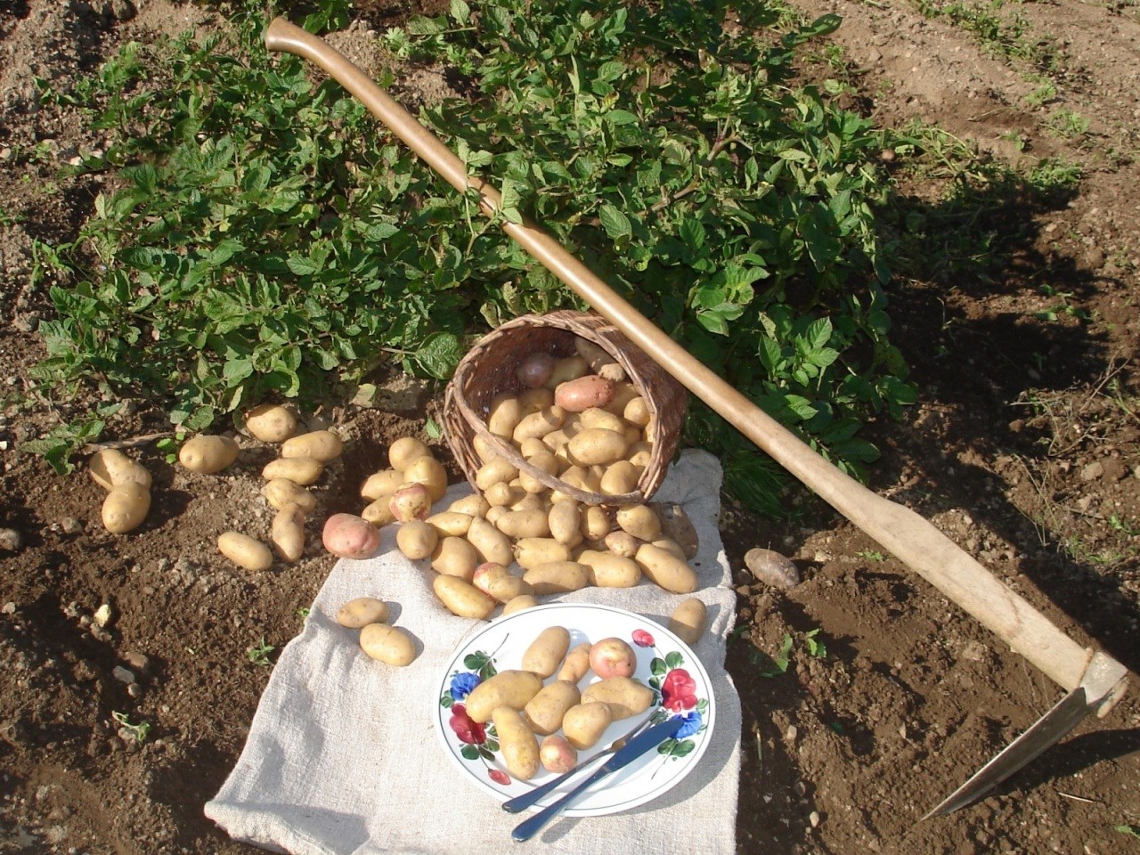 Ferienwohnung & Privatzimmer Wiesmüller Ausflugsziele Waldland 