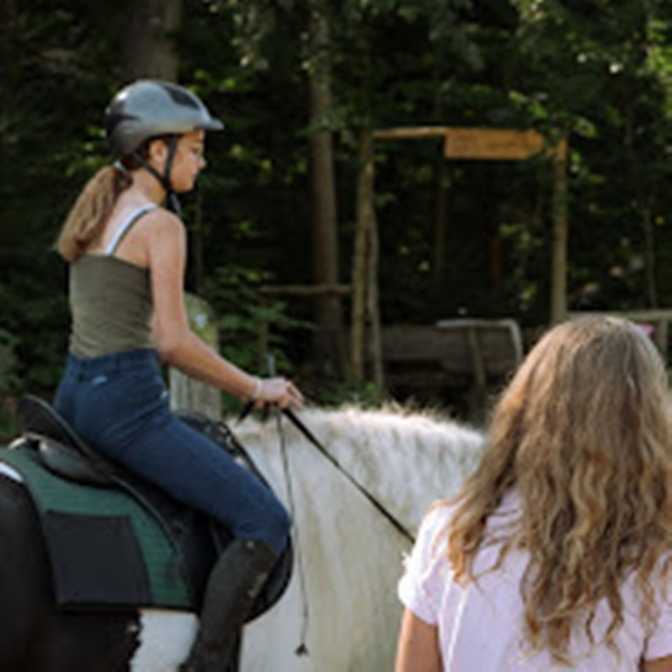 Ferienwohnung & Privatzimmer Wiesmüller Ausflugsziele Reitmöglichkeit ca. 2 km vom Haus entfernt