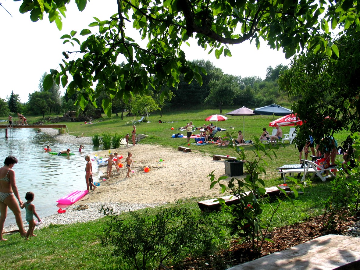 Frühstückspension: Der nur 100m entfernte Badeteich. - Biohof Erdinger