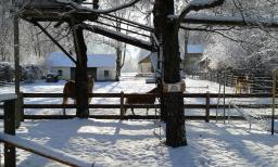 Pensionen - Garten - Mostviertel - Landhaus Gasteiner