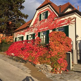 Frühstückspension: Unser Haus im Herbst - Gästehaus am Steindl