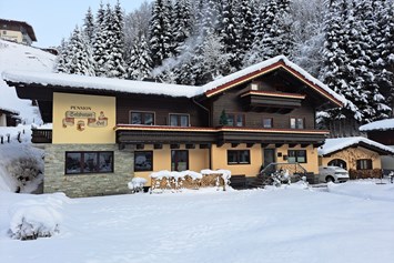 Frühstückspension: Winter - Apartments Salzburgerhof