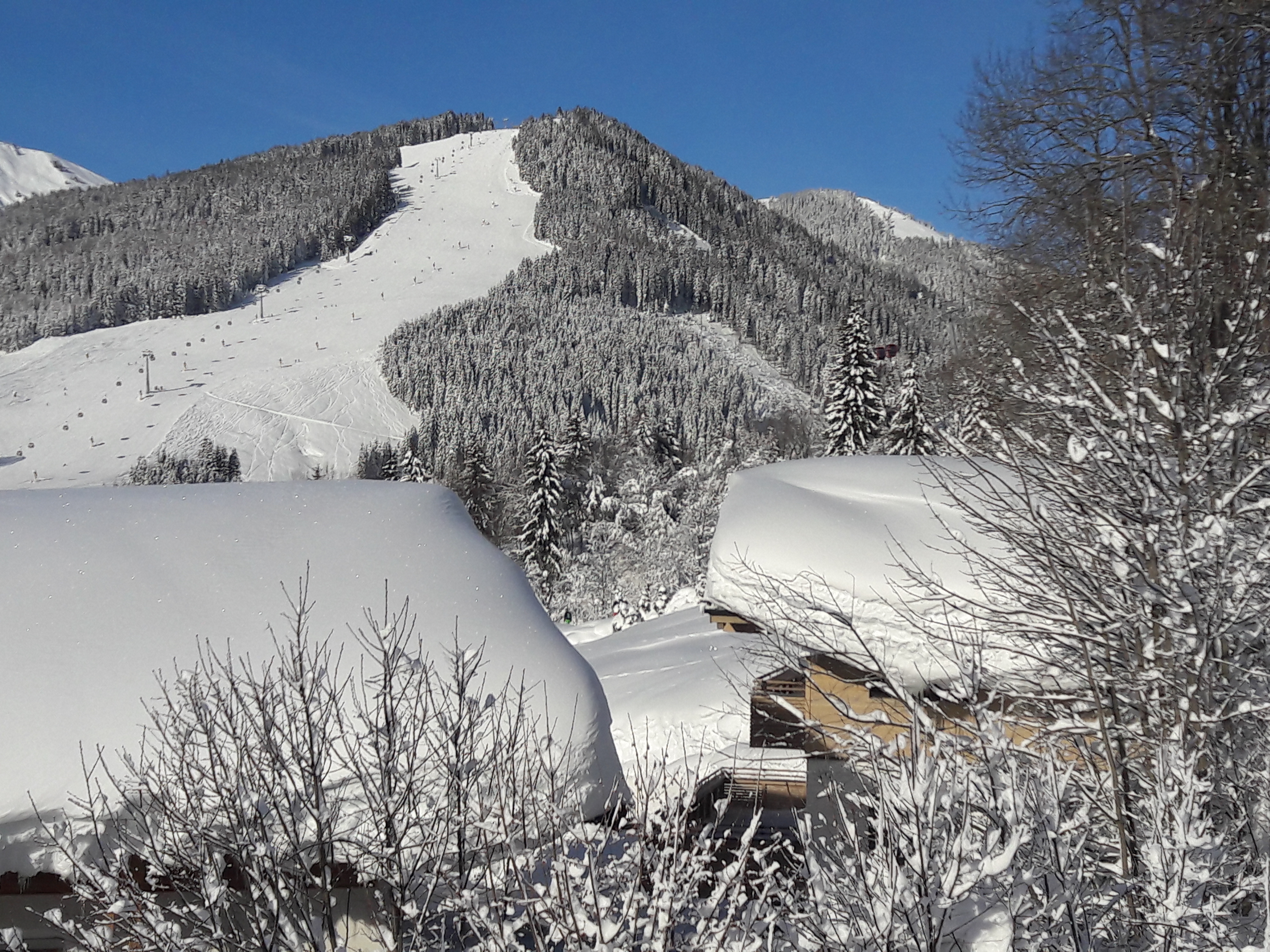 Pensionen - Frühstück: Frühstücksbuffet - Lofer - Haus Schober