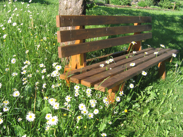 Frühstückspension: Wolf-Hof