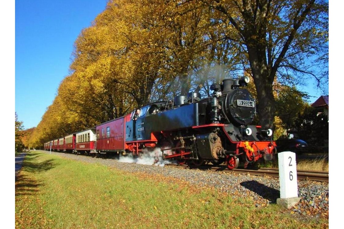 Frühstückspension: historische Dampfeisenbahn Molli - Ostsee Hotel-Pension An der Lindenallee Bad Doberan